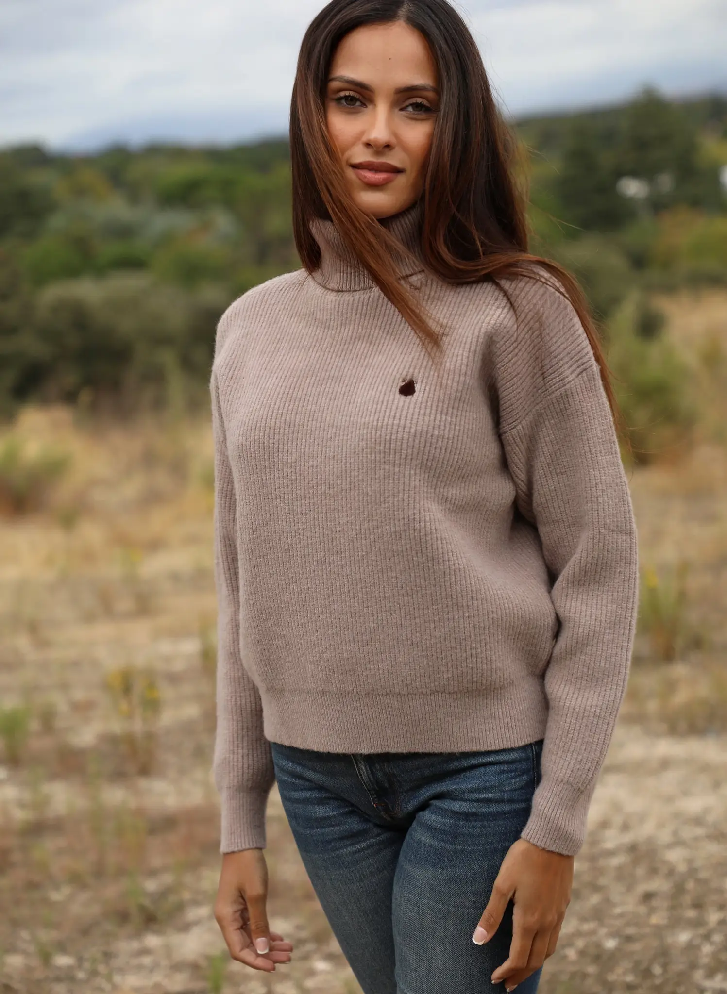 Jersey Marrón Cuello Cisne Mujer - Image 4
